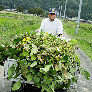 取扱い農産物廃棄ゼロへの取組み